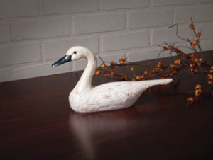 HD70832 White Swan